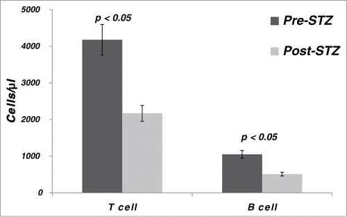 Figure 3. T and B lymphocyte counts in cynomolgus monkeys (n = 4) pre- and post streptozotocin (STZ).