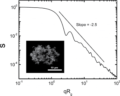 Figure 5. SEM image of a typical particle from set E1 and its structure factor in reciprocal space S(qRg). Black line with a slope = −2.5 serves as a guide to eyes.