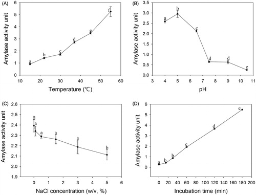 Figure 4. Effects of temperature, pH, NaCl concentration, and incubation time on the amylolytic activity of PH-Gra1. A crude enzyme solution containing equal amounts of protein was incubated with 0.5% starch at the selected (A) temperature, (B) pH, (C) NaCl concentration, and (D) incubation time. Amylolytic activity was calculated from the mean and standard deviation of three biological replicates. Alphabetical letters on the graph indicate differences that are statistically significant (p < .05) by ANOVA analysis followed by Tuckey’s test.