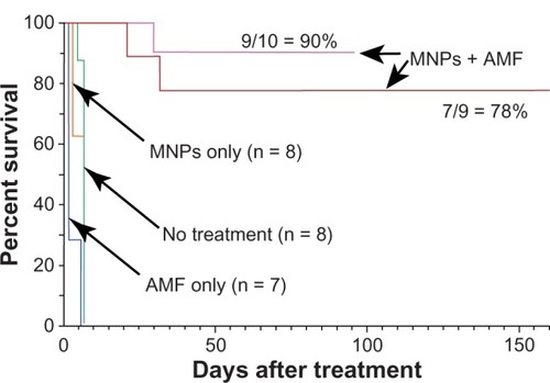Figure 5 Magnetic nanoparticle (MNP) hyperthermia treatment.Notes: Intravenous injection of 1.7 g Fe/kg and followed 24 hours later by exposure to an alternating magnetic field (38 kA/m, 980 kHz, 2 minutes) resulted in durable ablation of tumors (7/9 = 78%, n = 9, absence of palpable tumor). A repeated experiment showed 90% (n = 10) thermoablation. Controls – no treatment, magnetic field only, and only magnetic nanoparticles – had no measurable effect on survival.Abbreviations: AMF, alternating magnetic field; n, number of animals per group.