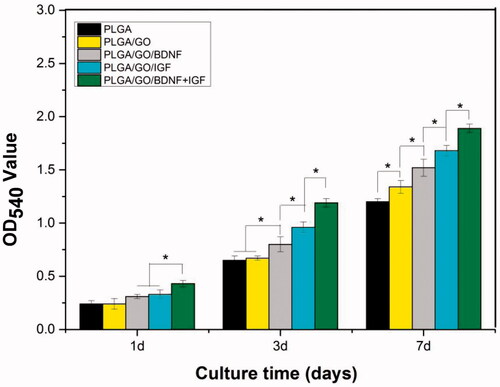 Figure 6. Proliferation of NSCs cultured on PLGA, PLGA/GO, PLGA/GO/BDNF, PLGA/GO/IGF-1 and PLGA/GO/IGF + BDNF for 1, 3, 7 days in vitro. (∗, p < .05, n = 3).