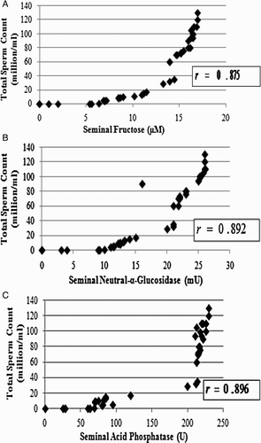 Figure 5.  Association of sperm count with seminal paramaters. A) The total sperm count (million/ml) was plotted against the seminal fructose (µM) of the subjects. The scatter diagram approximately follows an exponential path (non-linear relation). Results are expressed as r = 0.875. The value of ordinary correlation coefficient is indicative of a strong positive association between total sperm count and seminal fructose, i.e., the higher the total sperm count, the higher the seminal fructose. B) The total sperm count (million/ml) was plotted against the seminal neutral-α-glucosidase (mU) of the subjects. The scatter diagram approximately follows an exponential path (non-linear relation). Results are expressed as r = 0.892. The value of ordinary correlation coefficient is indicative of a strong positive association between total sperm count and seminal neutral-α-glucosidase, i.e., the higher the total sperm count, the higher the seminal neutral-α-glucosidase. C) The total sperm count (million/ml) was plotted against the seminal acid phosphatase (U) of the subjects. The scatter diagram approximately follows an exponential path (non-linear relation). Results are expressed as r = 0.896. The value of ordinary correlation coefficient is indicative of a strong positive association between total sperm count and seminal acid phosphatise, i.e., the higher the total sperm count, the higher the seminal acid phosphatase.