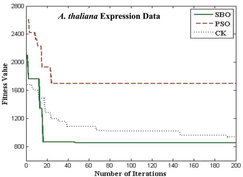 FIGURE 10 Plot of number of iterations versus fitness value for Arabidopsis thaliana data.