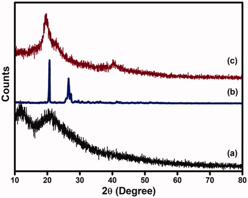 Figure 7. XRD pattern of (a) CS-GP hydrogels, (b) PC nanocapsules, and (c) CS-GP/PC polymeric hydrogel.