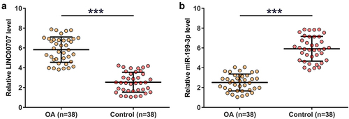 Figure 1. RT-qPCR analysis of the expression of LINC00707 and miR-199-3p in OA.