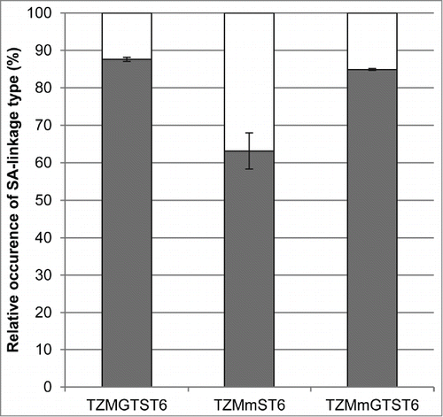 Figure 6. The relative abundances of the sialylated biantennary complex glycans (G1FS1, G2FS1 and G2FS2). The HILIC results were used to calculate the proportion of α2,3- and α2,6-linked sialic acids found in TZMGTST6, TZMmST6 and TZMmGTST6. White:% α2,3SA. Gray:% α2,6SA.