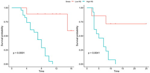 Figure 3. Kaplan–Meier survival analysis was performed according to the optimal cutoff value of Rad-Score of PDAC patient subgroup in training cohort (a) and validation cohort (b).