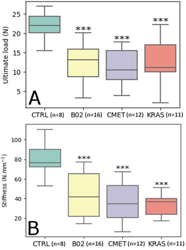 Figure 2. A: Ultimate load of mice tibias for each group. B: Stiffness of mice tibias for each group. *** p-value < 0.001 for Mann-Whitney U test with control group (n: number of samples).