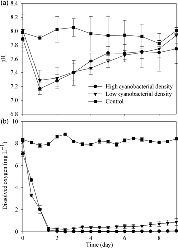 Figure 4. Temporal variation of pH (a) and dissolved oxygen (b) in laboratory microcosms with different cyanobacterial densities. Data are means ± SD (n = 3).