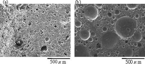 Figure 3. Cross-section SEM images of aggregates sintered from SPS with different dosage of H3BO3 (sintered at 900°C for 30 min): (a) 7.5 wt%; (b) 15 wt%.
