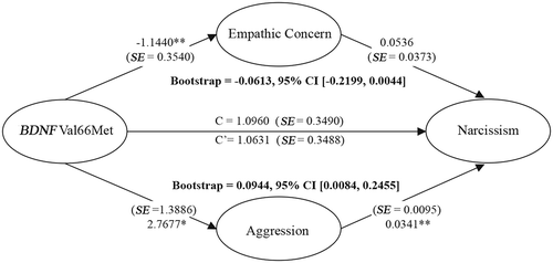 Figure 2. Aggression, but empathic concern, mediates the association between the BDNF Val66Met and narcissism. Coefficients are derived from the equations: Y = cX + e1, M1 = a1X + e2, M2 = a2X + e3, Y = c’X + b1M1 + b2M2 + e4. Y: narcissism; X: genotypes (0 = Val/Val = 0, Met/Val &Met/Met = 1); M1: empathic concern, M2: aggression; *p < 0.05, and **p < 0.01