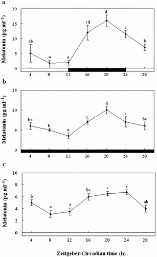 Figure 10.  Enzyme-linked immunosorbent assay of plasma melatonin levels of olive flounders during the daily light:dark (LD) cycle (12:12) (a), constant dark (DD) (b) and constant light (LL) (c). The white bar represents the photophase and the black bar, the scotophase. Different letters indicate that values are statistically different in Zeitgeber time (ZT) and Circadian time (CT) (p < 0.05). All values represent means±SD (n = 5).