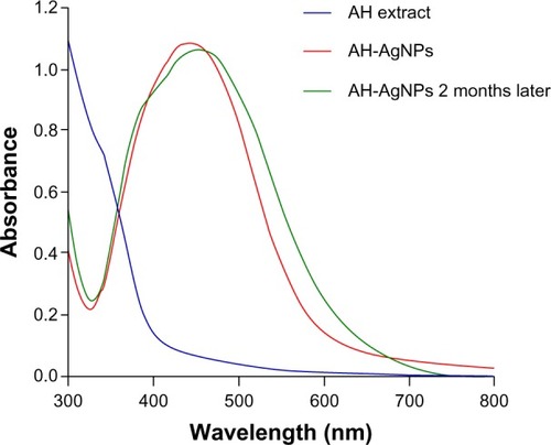 Figure 5 Evaluation of stability of Agrimoniae herba extract, AH-AgNPs, and AH-AgNPs 2 months later by using an ultraviolet-visible instrument.Abbreviation: AH-AgNPs, Agrimoniae herba-conjugated Ag nanoparticles.