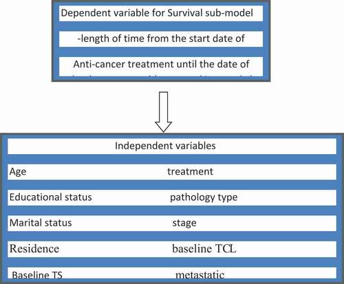 Figure 1. Schematic/diagrammatic/representation of joint model for breast cancer patients