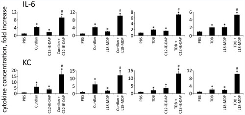 Figure 6 Combined stimulation of CLR and NOD receptors results in potentiation of cytokine production in mouse serum. Mice (n= 5 per group) were injected i.m. with PBS or with PRR agonists Curdlan (10 μg/mouse), TDB (10 μg/mouse), C12-iE-DAP (1 μg/mouse), L18-MDP (1 μg/mouse) individually or in combination: Curdlan-C12-iE-DAP, Curdlan-L18-MDP, TDB-C12-iE-DAP, TDB-L18-MDP. Blood samples were collected 3 h after PRR ligand administration. The mean fold change in cytokine concentration relative to the mean concentration in PBS-treated animals is shown. Error bars indicate SD. *Indicates significant difference (P≤ 0.05, Student’s t-test) between PRR agonist (individually or in combination) treated cells and the intact cells. #Indicates potentiated (greater than the sum of the fold induction observed after stimulation of single PRR at the same doses of agonists) cytokine production levels in group treated with combination of CLR and NOD agonists.