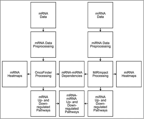 Figure 2. Schematic outline of bladder cancer miR and gene expression data analysis. Corresponding mRNA and miR expression data were preprocessed for Oncofinder and MIRImpact calculations. Output data were used to generate heatmaps and statistical dependencies between the results obtained using these 2 methods, and to identify up- and downregulated molecular pathways.