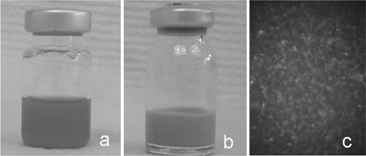 FIG. 1 (a) Commercial QDs with C18H37NH2 shell in toluene solution; (b) QD-encapsulated phospholipid nanoemulsion; (c) epifuorescence microscopic imaging of QD-encapsulated phospholipid nanoemulsion.