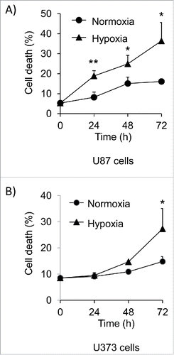 Figure 1. Hypoxia induces cell death in glioma cells over a 72 hour time course. Glioma cell lines A) U87 and B) U373 were placed under hypoxia for a 72 hour time course. The amount of cell death was determined by trypan blue exclusion assay. Error bars represent standard error of 3 independent experiments and * represents a statistically significant difference between cell death levels in normoxia and hypoxia.