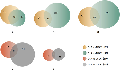 Figure 2. Venn diagrams of differentially expressed circRnas.