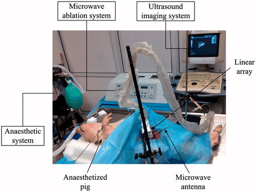 Figure 1. Schematic of the experimental apparatus.