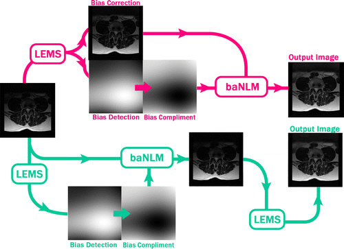 Figure 3 Two varying methodological paths used for realising the bias adaptive NLM filter. The scheme (top path) passes the intensity corrected image to baNLM, while (bottom path) passes the original image to baNLM and uses LEMS both before filtering, for bias extraction, and after filtering, for intensity correction.