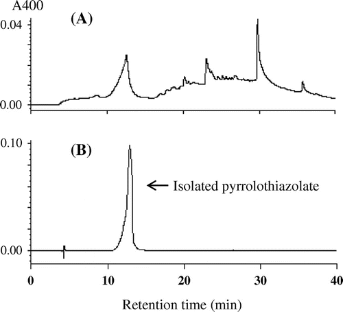 Fig. 2. Typical profiles of reversed-phase HPLC of a reaction mixture before isolation (A) and an isolated peak (B).