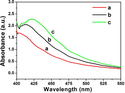 Figure 4. UV spectra of MO in the reaction system with different reaction times ((a) 1 h λmax = 402 nm; (b) 2 h, λmax = 412 nm; (c) 3 h, λmax = 420 nm) at 298 K, [MO] = 1 × 10−5 M.