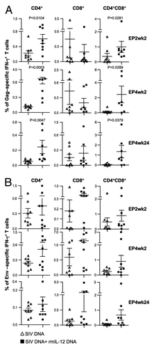 Figure 4. Comparison of the Gag- and Env-specific CD4+, CD8+ and CD4+CD8+ double-positive (DP) T cell subsets. (A, B) Gag (A)- and Env (B)-specific IFN-γ + producing CD4+, CD8+ and CD4+CD8+ DP T cell populations were analyzed from individual animals by flow cytometry at EP2wk2, EP4wk2 and EP4wk24. The data are shown as % of total parent CD4+, CD8+ or CD4+CD8+ T cells. The bars represent mean values and SEM.