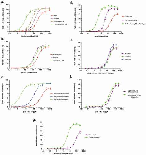 Figure 5. Functional characterization of anti-TNF Quad proteins. Anti-TNF Quad molecules were analyzed for their ability to neutralize TNF-mediated cytotoxicity in WEHI cells. The neutralization curves were plotted in different groups according to their format (n = 3 ± SEM). Benchmark antibodies and monovalent control were also included. The groups included Humira-based Quads (a), Humira-based scFv (b), anti-TNF dAb Quads without Fc (c) anti-TNF dAb Quads with Fc (d), bispecific anti-TNF/IL17a Quad formats (e), monospecific anti-TNF dAb vs bispecific anti-TNF dAb (f) and Etanercept-based Quad (g).