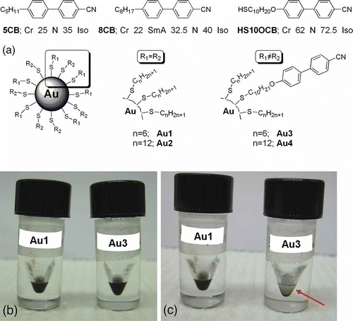 Figure 9. (a) Structures and LC phase transition temperatures of the LC hosts 5CB and 8CB and of the nematic HS10OCB (top). Schematics of the homogeneous and mixed monolayer gold NPs Au1–Au4 (bottom). V-vials® containing 5CB doped with Au1 or Au3: (b) right after sample preparation, and (c) after standing at room temperature overnight (in the nematic phase of 5CB). The red arrow shows the settling of Au3 in 5CB after about 12 hours. Reproduced with permission from Qi et al. (Citation 13 ).