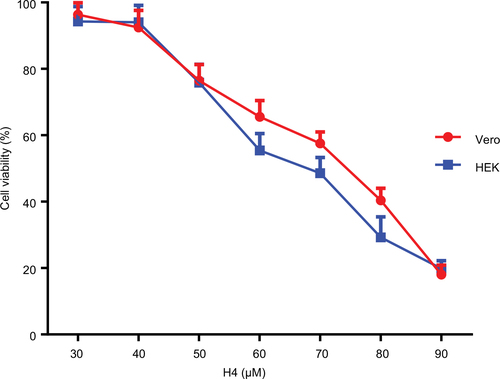 Figure 4 Cell survival curves as measured by MTT assay for H4 against two normal mammalian cell lines, Vero and HEK293. Cells were incubated with various concentrations of the peptides, for 24 hours, at 37°C. Control cells represent 100% proliferation, and the mean absorbance of treated cells was related to control values to determine sensitivity. Error bars represent standard error from mean cell proliferation as determined by repeated experiments.