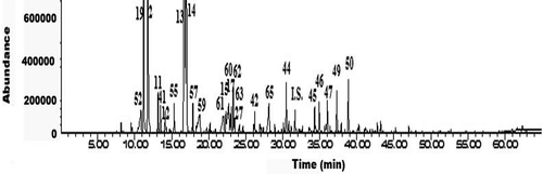 FIGURE 2 Total ion chromatogram of volatile compounds in J sample by GC-MS.