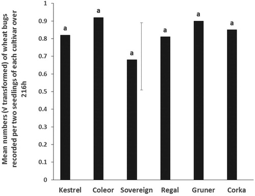 Figure 1. Choice tests. Mean numbers (√ transformed) of adult wheat bugs recorded in each of six kale cultivars over 216 h. The vertical bar is the least significant difference, LSD (5%) (n = 10).