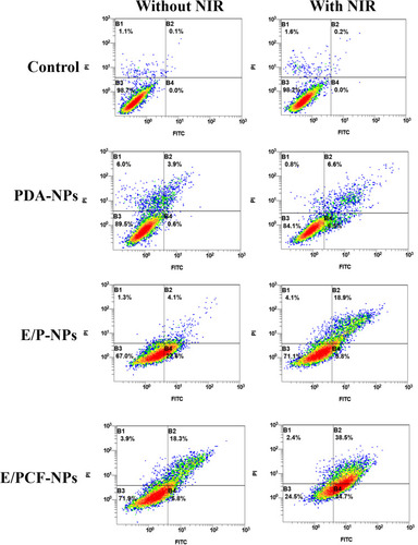 Figure 6 Apoptosis of 4T1 cells treated with different preparations by annexin V/PI staining using flow cytometry.
