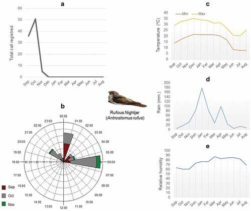 Figure 1. (a) Overall number of rufous nightjar (Antrostomus rufus) vocalizations recorded in the Piedmont Forest of Northwestern Argentina: from September 2017 to August 2018 (N = 94). (b) Circular distribution of total hours and months where vocalizations were recorded. The number of vocalizations is detailed along the axis. Besides, it includes temperature throughout the sampling year (c), as well as rainfall intensity (d), and relative humidity (e), throughout the sampling year.