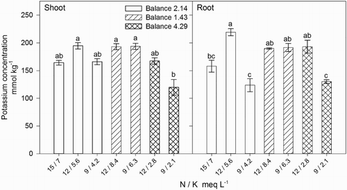 Figure 5. Effect of nitrogen (N) and potassium (K) balance and concentration in the nutrient solution on shoot and root potassium concentration of lisianthus plants.