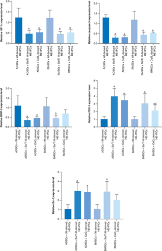 Figure 2. Relative gene expression analysis of hypoxia-related genes; proapoptotic genes (HIF-1α, Caspase-3, BNIP3) and anti-apoptotic genes (Bcl-2 and PDX-1) in adipose-derived stem cells and bone marrow mesenchymal stem cells-derived hypoxia exposed-insulin-producing cells.Data are displayed as (mean ± SD) acquired from four independent experiments (n = 4). (A) Significant change at p < 0.05 relative to (ADSCs-derived HE-IPCs + IM). (B) Significant change at p < 0.05 relative to (BMSCs-derived HE-IPCs + IM). (C) Significant change at p < 0.05 relative to (ADSCs-derived HE-IPCs + Se/Ti III). (D) Significant change at p < 0.05 relative to (ADSCs-derived HE-IPCs + CeO2).ADSC: Adipose-derived stem cell; BMSC: Bone marrow mesenchymal stem cell; HE-IPC: Hypoxia exposed-insulin-producing cell; IM: Inductive media.