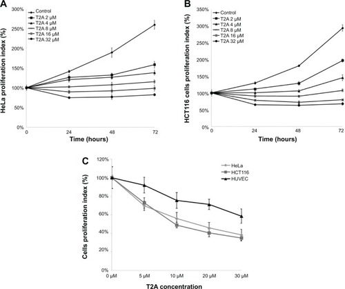 Figure 4 Dose- and time-dependent effects of T2A on the growth of HeLa, HCT116, and HUVEC cells.