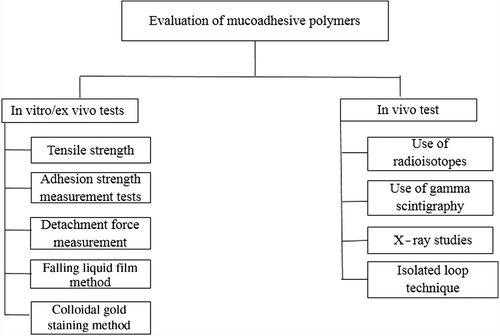 Figure 2. Different methods for evaluation of mucoadhesive polymers.