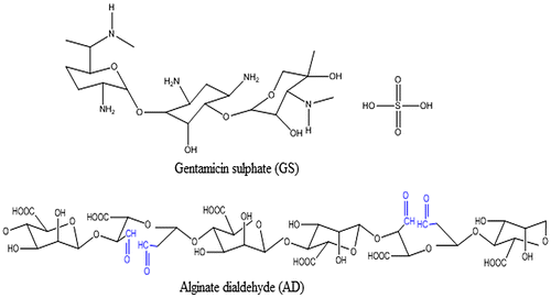 Figure 1. The structures of drug GS and the AD.