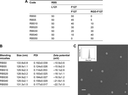 Figure 3 Physicochemical properties of cRGD-conjugated blending system.Notes: (A) Composition of RBS. (B) Particle size, PDI, and zeta potential of each composition. (C) FE-SEM imaging and particle size distribution (see inset) of RBS30 (scale bar=200 nm). RBS was composed of 50 wt% of L121 and various ratios of F127 and RGD-F127. The numbers after RBS indicate the wt% of F127-RGD.Abbreviations: cRGD, cyclic arginine-glycine-aspartic acid tripeptide; FE-SEM, field emission-scanning electron microscopy; PDI, polydispersity index; RBS, RGD-conjugated blending system.