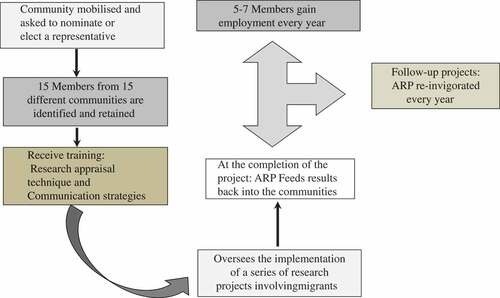 Figure 1. The process of engagement for the African Review Panel.