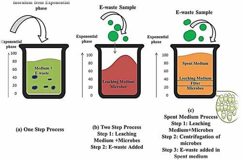 Figure 4. Variations and different steps of bioleaching of E-waste.
