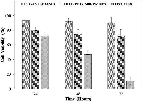 Figure 12. The cytotoxic effects exerted by 160 µg·ml−1 PEG1500-PMNPs, 30 µg·ml−1 free DOX, and 200 µg·ml−1 DOX-PEG1500-PMNPs against the A549 cells after 24, 48, and 72 h.