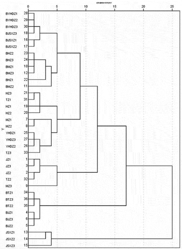 Figure 4. Dendrogram cluster analysis of six jujube cultivars with red and blackened.