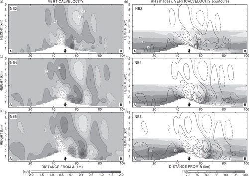 Fig. 3 Vertical distributions of vertical velocity and relative humidity (RH) in the NB2, NB4 and NB5 runs at 0100 ST. The locations of the cross-sections are shown in Fig. 2a, c and e. The left panels (a), (c) and (e) depict the vertical velocity in grey scale. Regions of updraft stronger than 0.5 m s−1 and downdraft stronger than −0.5 m s−1 are contoured by solid lines and dashed lines, respectively, (contour interval, 0.5 m s−1). The right panels (b), (d) and (f) indicate regions of RH >70% in grey scale and the vertical velocity by contours (as in the left panel).