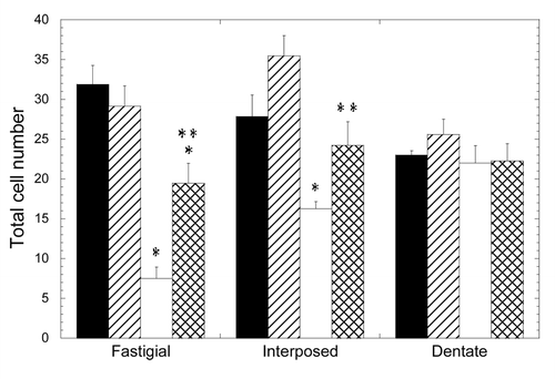 Figure 1. Depletion of deep cerebellar nuclei neurons in the 3xTg-AD mouse cerebellum and recovery by scFv-h3D6 treatment. Cell numbers from fastigial, interposed and dentate nuclei were determined. Black, untreated NTg group; Striped, scFv-treated NTg group; White, untreated 3xTg-AD group; Squared, scFv-treated 3xTg-AD group. Results are expressed by means ± SEM *significant vs untreated NTg group (p ≤ 0.05); **significant vs untreated 3xTg-AD group (p < 0.03). Significance values were calculated via Mann-Whitney test.