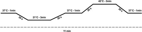 Figure 1 Temperature ramping of the thermode during testing sessions.