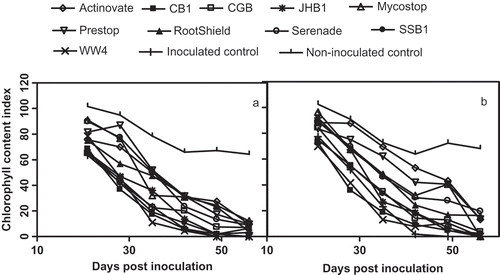 Fig. 3. Effect of biocontrol agents on the chlorophyll content index (CCI) of Begonia × hiemalis under greenhouse conditions in the spring trial (a) and summer trial (b).