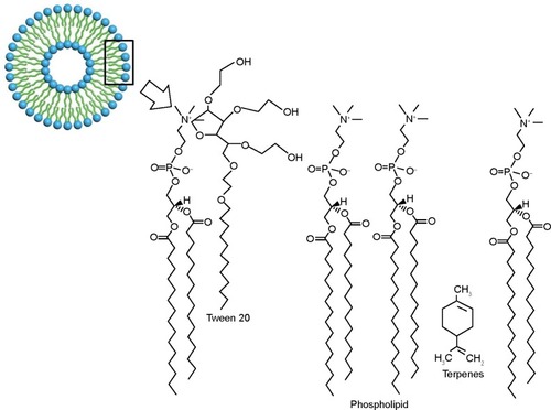 Figure 3 Molecular structure of ultradeformable liposomes with terpenes.